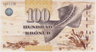 2002 - 100 Krónur - L'Argento del Mare e la Capitale della Pesca