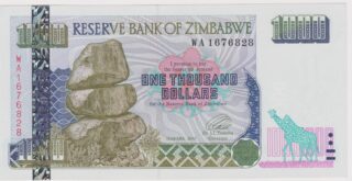 2003 - 1000 Dollars - La Forza del Pachiderma