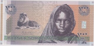 2006 - 1000 Shilin -  La Forza del Leone e la Vita Nomade