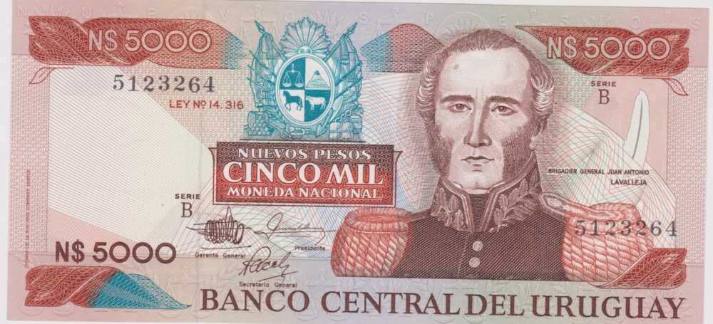 1983 - 5.000 Nuevos Pesos - Uruguay
