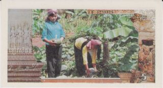 1993 - 5 Riels - Cambogia - Khmer Rouge