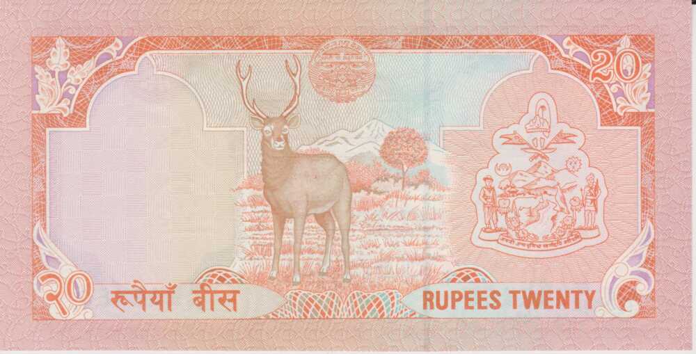 1995 - 20 Rupees - Nepal - immagine 2