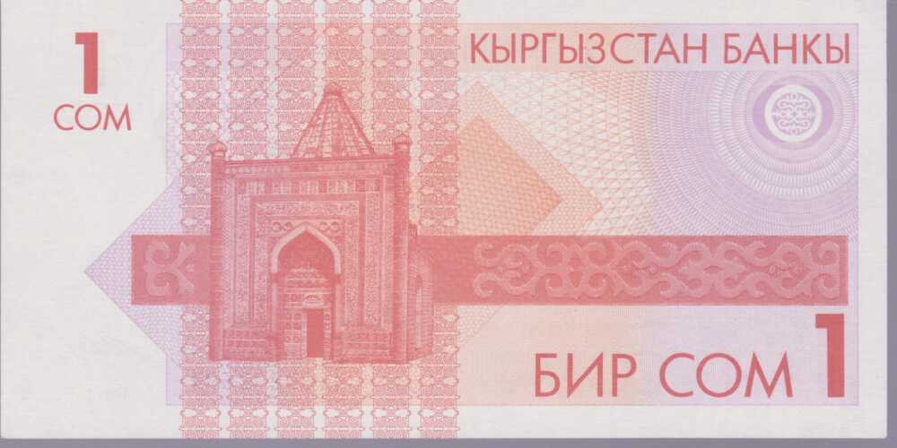 1993 - 1 Som - Kirghizistan - immagine 2
