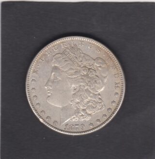 1879 - 1 Dollar - Profilo della Libertà - U.S.A.