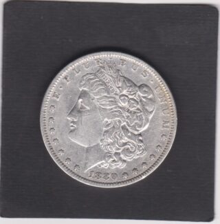 1880 - 1 Dollar - Profilo della Libertà - U.S.A.