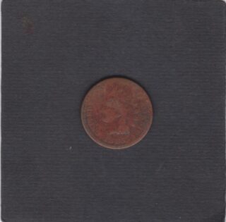 1885 - 1 Cent - Testa d'Indiano - U.S.A.