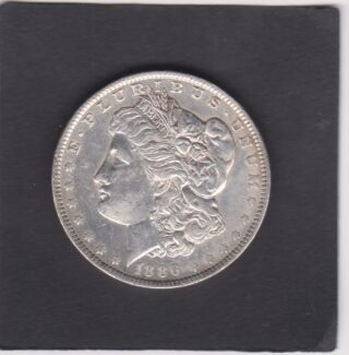 1886 - 1 Dollar - Profilo della Libertà - U.S.A.