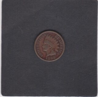 1887 - 1 Cent - Testa d'Indiano - U.S.A.