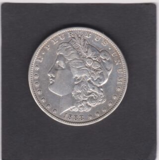 1888 - 1 Dollar - Profilo della Libertà - U.S.A.