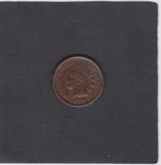 1889 - 1 Cent - Testa d'Indiano - U.S.A.