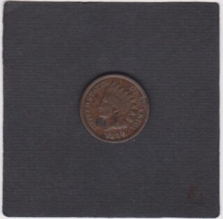 1890 - 1 Cent - Testa d'Indiano - U.S.A.