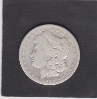 1894 - 1 Dollar - Profilo della Libertà - U.S.A.
