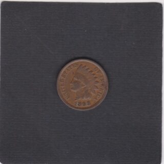 1898 - 1 Cent - Testa d'Indiano - U.S.A.