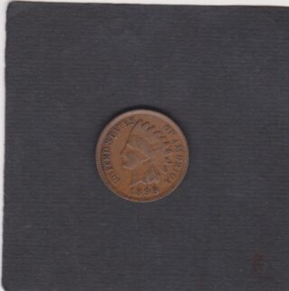 1899 - 1 Cent - Testa d'Indiano - U.S.A.