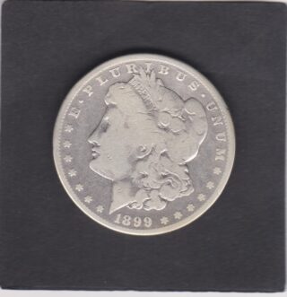 1899 - 1 Dollar -  Profilo della Libertà - U.S.A.