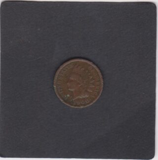 1900 - 1 Cent - Testa d'Indiano - U.S.A.