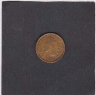 1901 - 1 Cent - Testa d'Indiano - U.S.A.