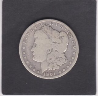 1901 - 1 Dollar - Profilo della Libertà - U.S.A.