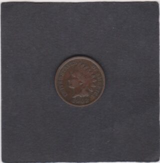 1902 - 1 Cent - Testa d'Indiano - U.S.A.