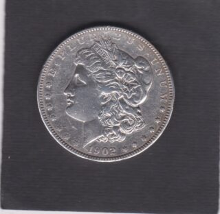 1902 - 1 Dollar - Profilo della Libertà - U.S.A.