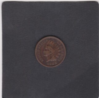 1903 - 1 Cent - Testa d'Indiano - U.S.A.