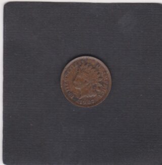 1907 - 1 Cent - Testa d'Indiano - U.S.A.