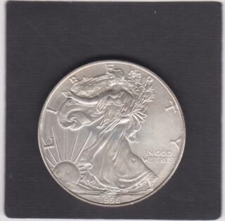 1996 - 1 Dollar - Walking Liberty - U.S.A.