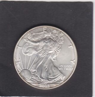 2002 - 1 Dollar - Walking Liberty - U.S.A.