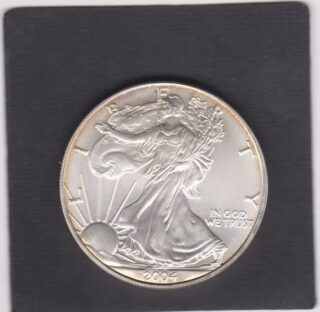 2004 - 1 Dollar - Walking Liberty - U.S.A.
