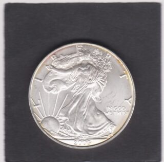 2005 - 1 Dollar - Walking Liberty - U.S.A.