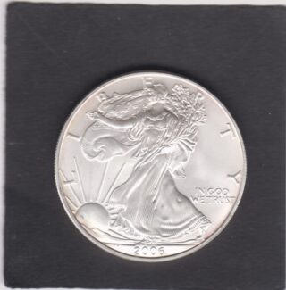 2006 - 1 Dollar - Walking Liberty - U.S.A.