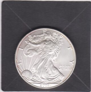 2007 - 1 Dollar - Walking Liberty - U.S.A.