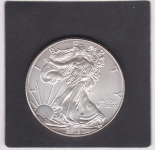 2012 - 1 Dollar - Walking Liberty - U.S.A.