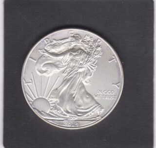 2014 - 1 Dollar - Walking Liberty - U.S.A.