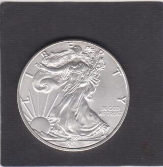2021 - 1 Dollar - Walking Liberty - U.S.A.