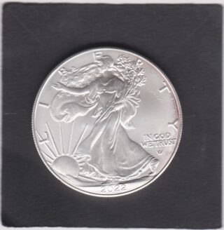 2022 - 1 Dollar - Walking Liberty and Eagle in volo - U.S.A.
