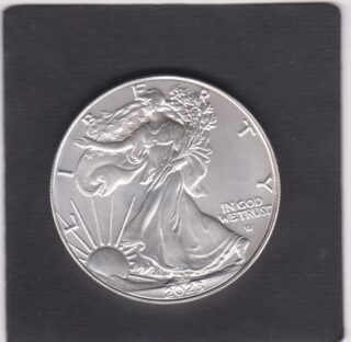 2023 -1 Dollar - Walking Liberty and Eagle in volo - U.S.A.