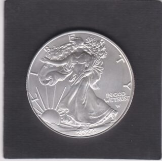 2024 - 1 Dollar - Walking Liberty and Eagle in volo - U.S.A.